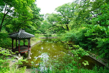 Naklejka premium 창덕궁 후원 (Changdeokgung Secret Garden)