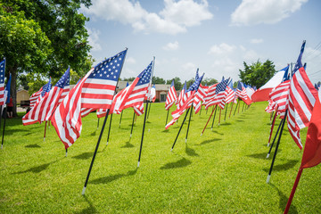 American Flags on a summer day 