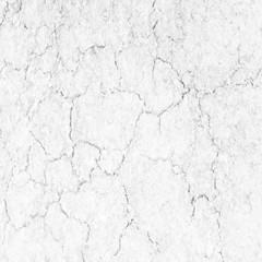 Obraz premium Soil cracks texture white background for design.