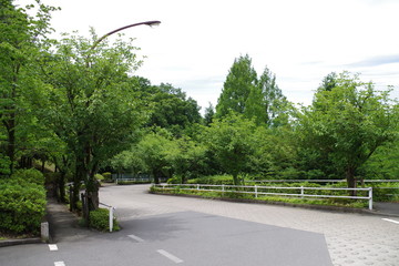 Obraz premium 坂と自然