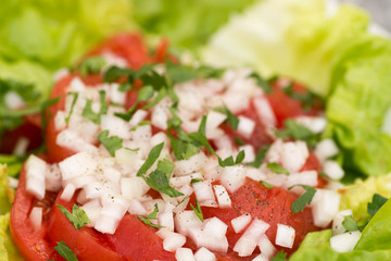 salad with tomatoes and onion