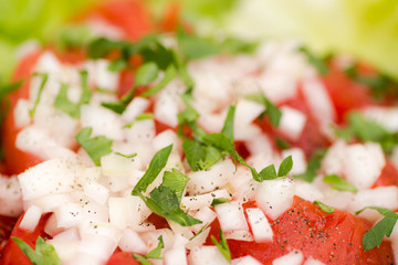 salad with tomatoes and onion