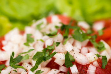 salad with tomatoes and onion