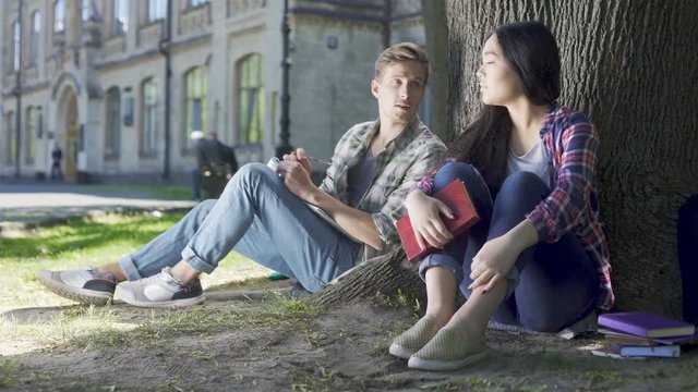Male and female strangers sitting under tree, having conversation, acquaintance