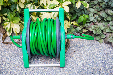 Roll the watering hose in the garden