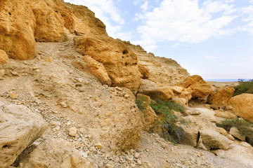 Ein Gedi Nature Reserve.