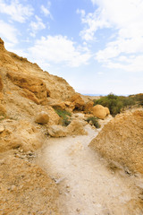 Ein Gedi Nature Reserve.