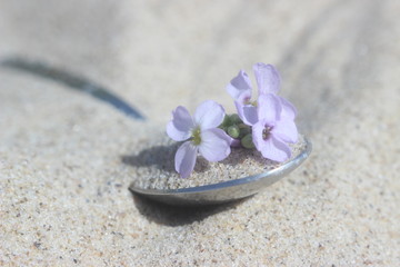  Spoon with flowers