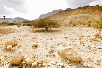 Ein Gedi Nature Reserve.