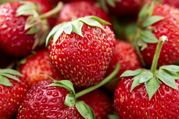 Fresh delicious strawberry