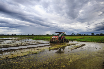 Landscape of fields in the evening with tractor