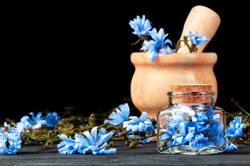 Chicory