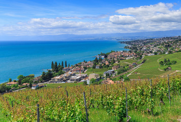 View on Lutry, Pully and city of Lausanne