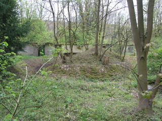 Verlassener Tierpark Gehege