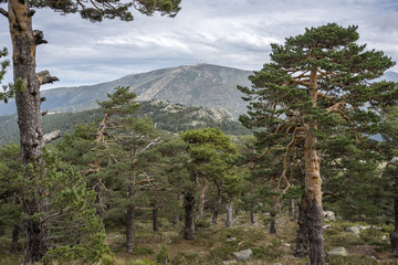 Fototapeta na wymiar Views of Navacerrada Ski resort from Siete Picos (Seven Peaks) range, in Guadarrama Mountains National Park, provinces of Segovia and Madrid, Spain