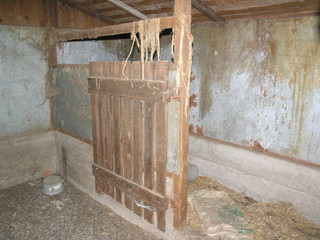 Verlassener Tierpark Gehege