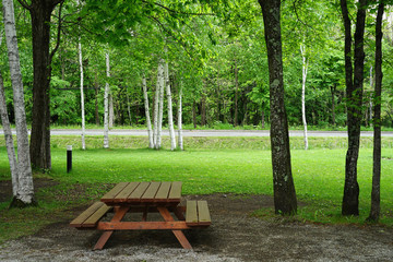 Wooden Table in the garden