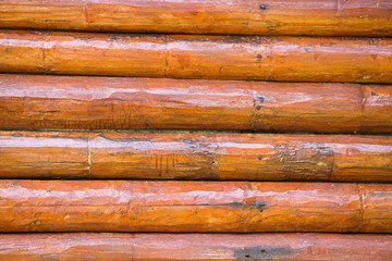 Obraz premium Wood wall