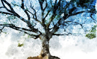 Tree which has a lot of branches painting on white background