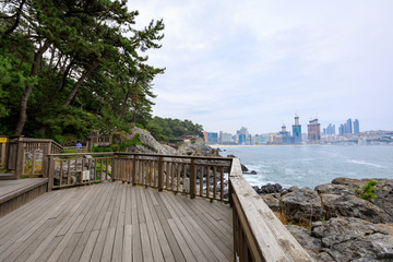 Obraz premium Dongbaekseom(Island of Camellias) coast walkway in Busan, South Korea - tour destination