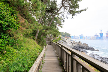 Fototapeta premium Dongbaekseom(Island of Camellias) coast walkway in Busan, South Korea - tour destination