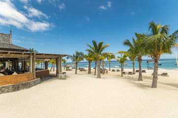 Fototapeta premium Am Strand der Trauminsel Mauritius im Flitterwochen Urlaub