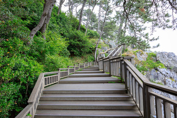 Dongbaekseom(Island of Camellias) coast walkway in Busan, South Korea - tour destination