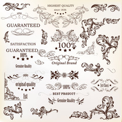 Calligraphic vector vintage design elements , decorations and swirls