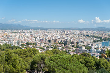 The port in Palma de Mallorca