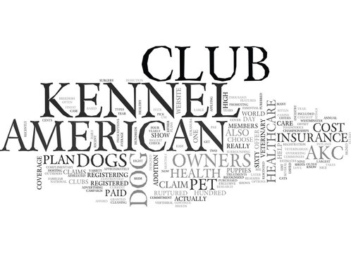 AKC PET HEALTH INSURANCE TEXT WORD CLOUD CONCEPT