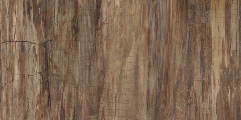 Natural wood texture and surface background