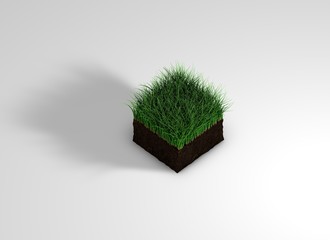 A square piece of land with lawn grass in isometric. 3D illustration, turf athletic fields, landscaping and advertising, seeding. 3D image
