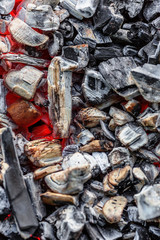 Background of coals
