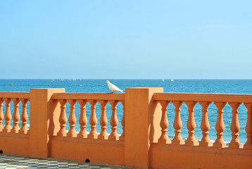 A view to Mediterranean sea from a waterfront promenade of Benalmadena beach and a white dove at the forefround, Malaga province, Andalusia, Spain.