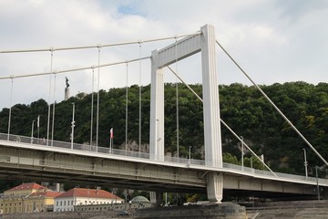 Fototapeta premium Gellert hill with Liberty Statue and Elizabeth' bridge in Budapest