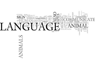 ANIMAL JEWELRY A VERY DIFFERENT AND BEAUTIFUL FORM OF ADORNMENT TEXT WORD CLOUD CONCEPT