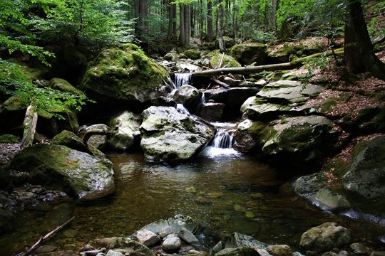 Ri&szlig;lochf&auml;lle