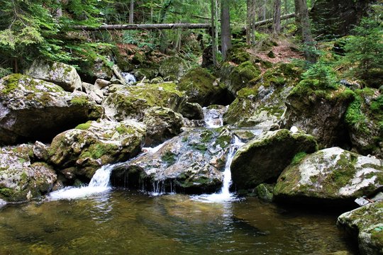 Ri&szlig;lochf&auml;lle