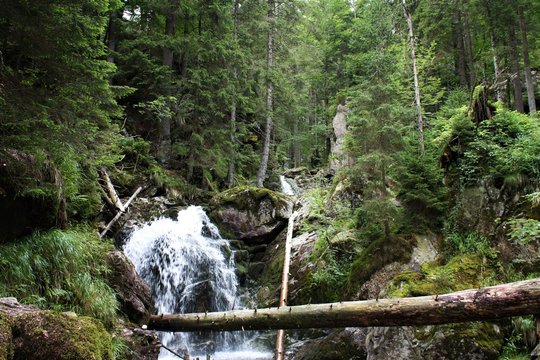 Ri&szlig;lochf&auml;lle