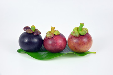 Mangosteens on white background.