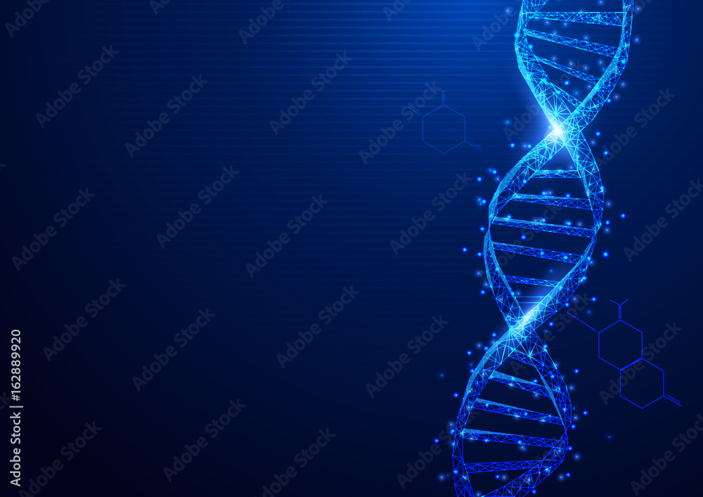 Poster Wireframe DNA molecules structure mesh from a starry on blue background. Science and Technology concept
