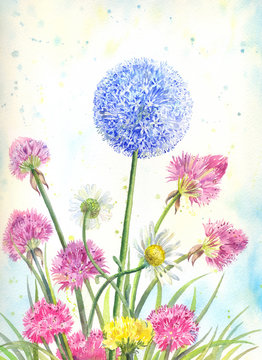 Bouquet of wildflowers with watercolor