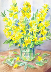 Verbena in watercolor