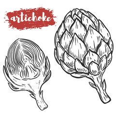 Hand drawn artichoke illustration isolated on white background. Design element for poster, menu. Vector illustration