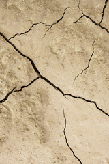 Fototapeta premium Soil cracked by a climatic disaster