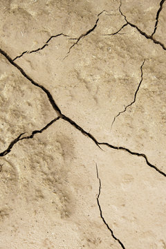 Soil cracked by a climatic disaster