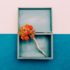 Flower in the box. Minimal design art