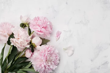 Stickers fenêtre Pivoines Beautiful pink peony flowers on white stone background with copy space for your text top view and flat lay style.