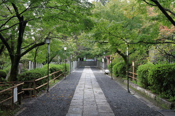 Fototapeta premium 長岡京天満宮参道