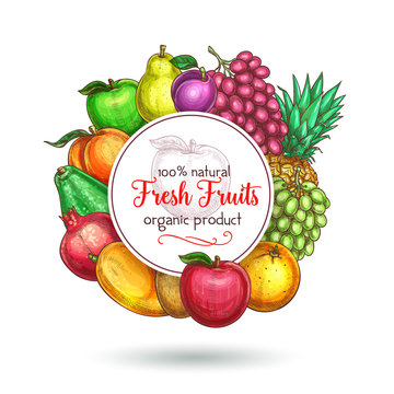 Vector exotic fresh natural fruits poster